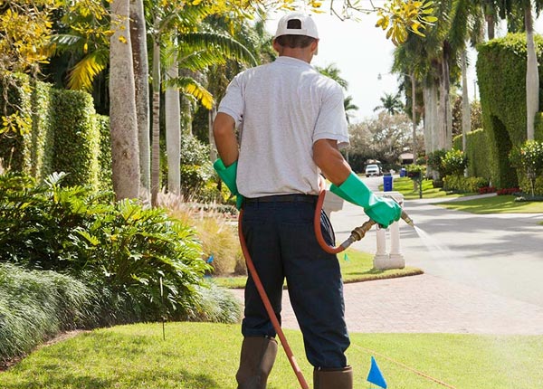 About Miami OK Pest Control